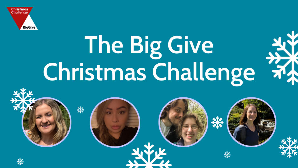 The Big Give Christmas Challenge: make twice the difference to those affected by pregnancy loss.
